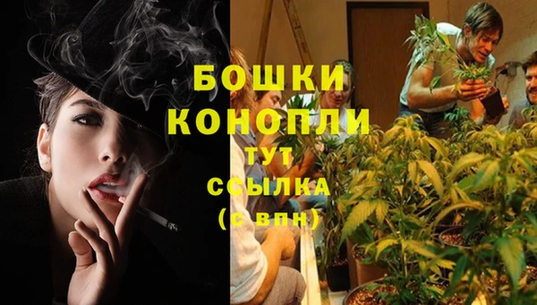 apvp Аркадак